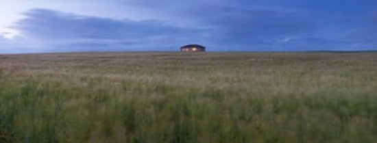 Barley field with a house in the background Orkney Islands Scotland Canvas Art - Panoramic Images (30 x 12)
