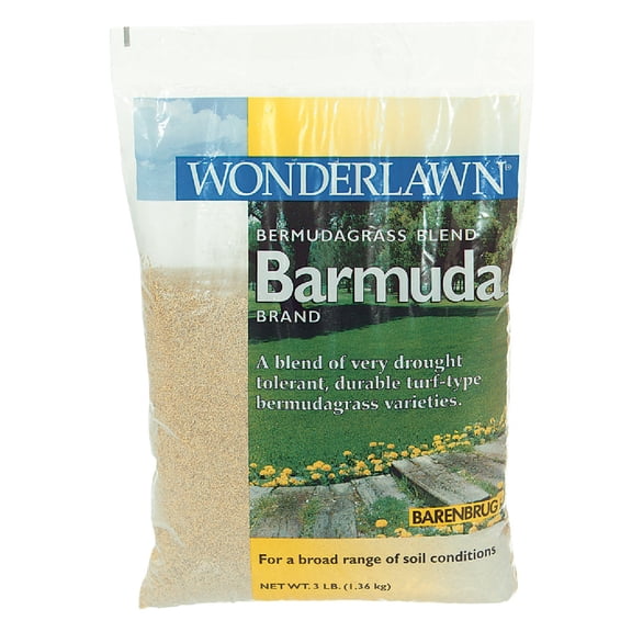 Barenbrug Barmuda Grass Seed - Drought-Tolerant, Full Sun - 3 lbs