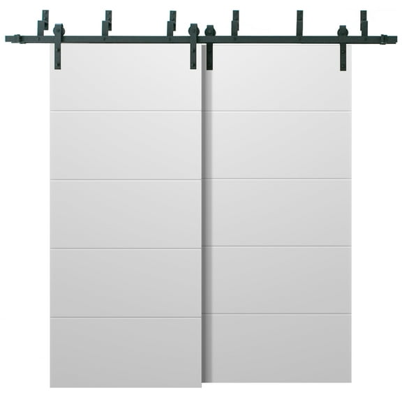 Barn Bypass Doors with 6.6ft Hardware | Planum 0770 Painted White Matte | Sturdy Heavy Duty Rails Kit Steel Set | Double Sliding Door-36" x 96" (2* 18x96)