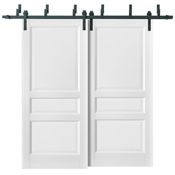 Barn Bypass Doors 64 x 80 with 6.6ft Hardware