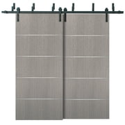 Barn Bypass Doors 64 x 80 with 6.6ft Hardware