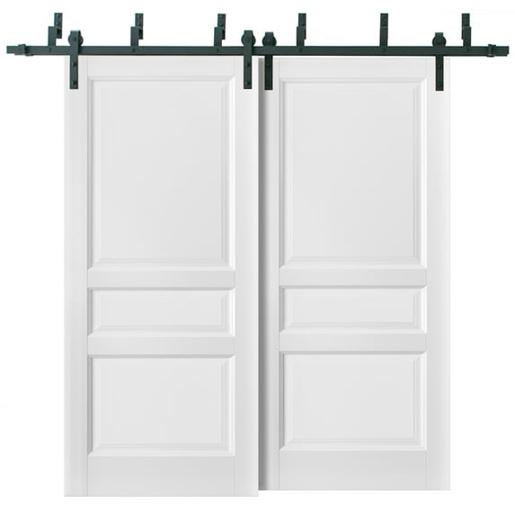 Barn Bypass Doors 72 x 84 with 6.6ft Hardware