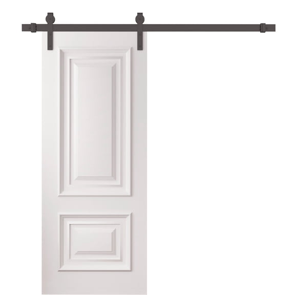 Barn Door 24 x 80 inches | CLASSIC 2289 White Enamel | 6.6FT Rail Track Heavy Hardware Set | Solid Panel Interior Doors