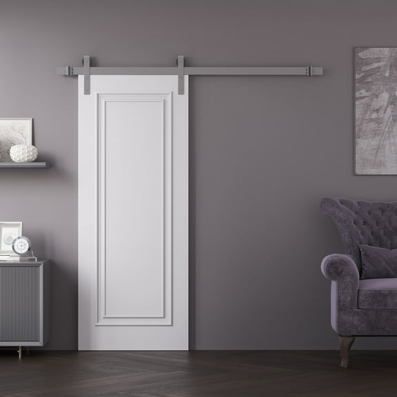 Barn Door 28 x 80 inches | CLASSIC 2289 White Enamel | 6.6FT Silver Rail Track Heavy Hardware Set | Solid Panel Interior Doors