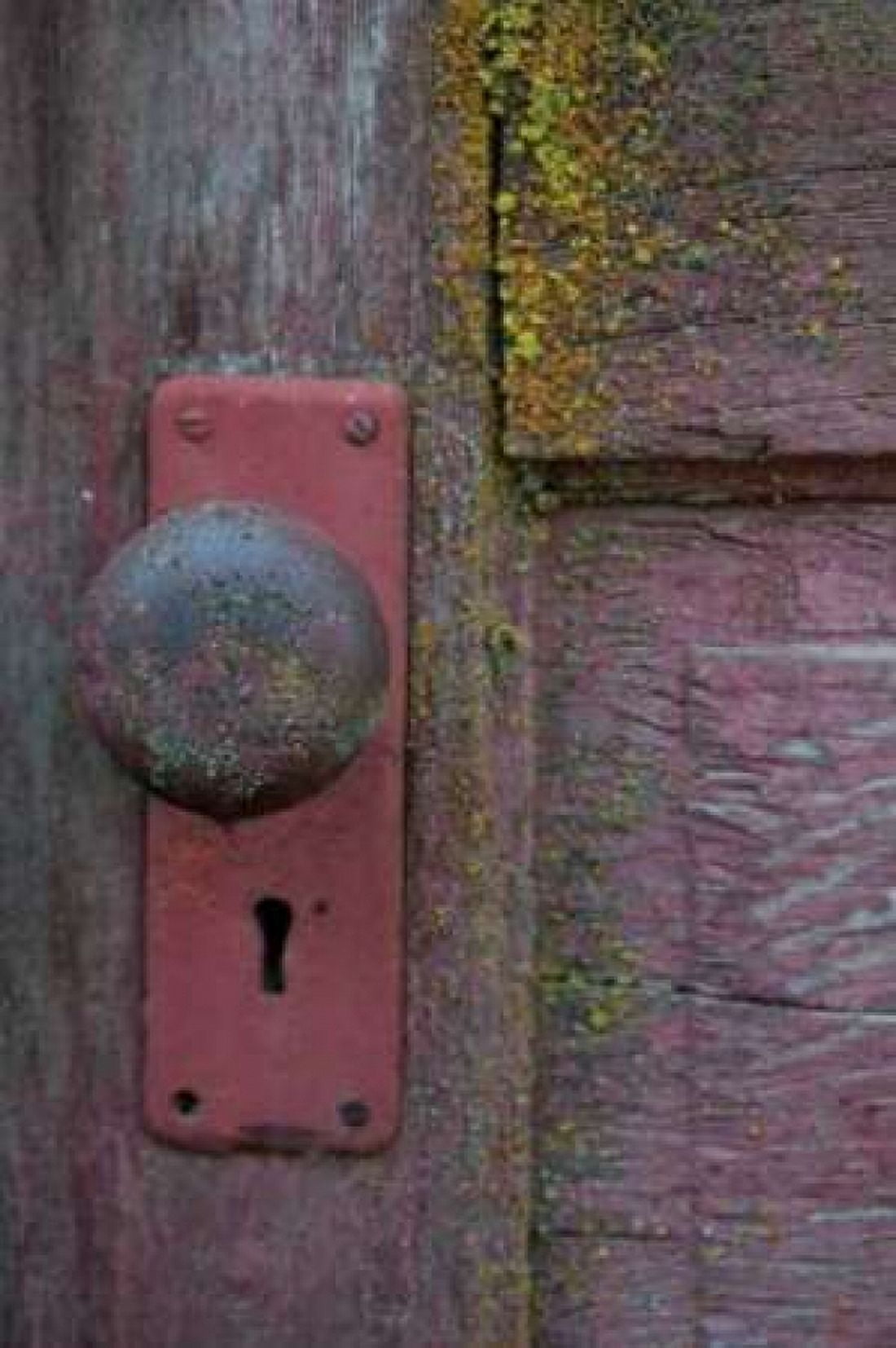 Barn Door Canvas Art - Erin Berzel (20 x 28)