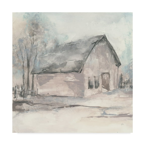 Barn I' Canvas Art by Chris Paschke