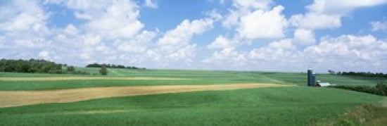 Barn In A Field Wisconsin USA Canvas Art - Panoramic Images (36 x 12)