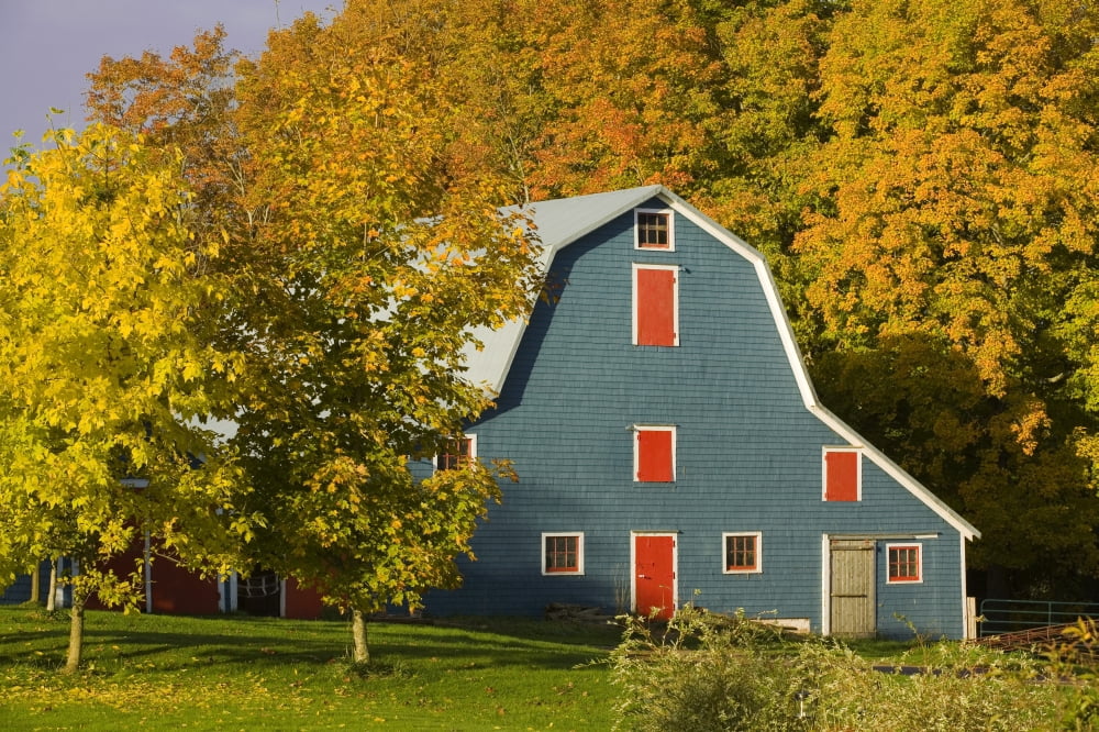Barn In Autumn Hunter River Prince Edward Island Canvas Art - John Sylvester Design Pics (17 x 11)