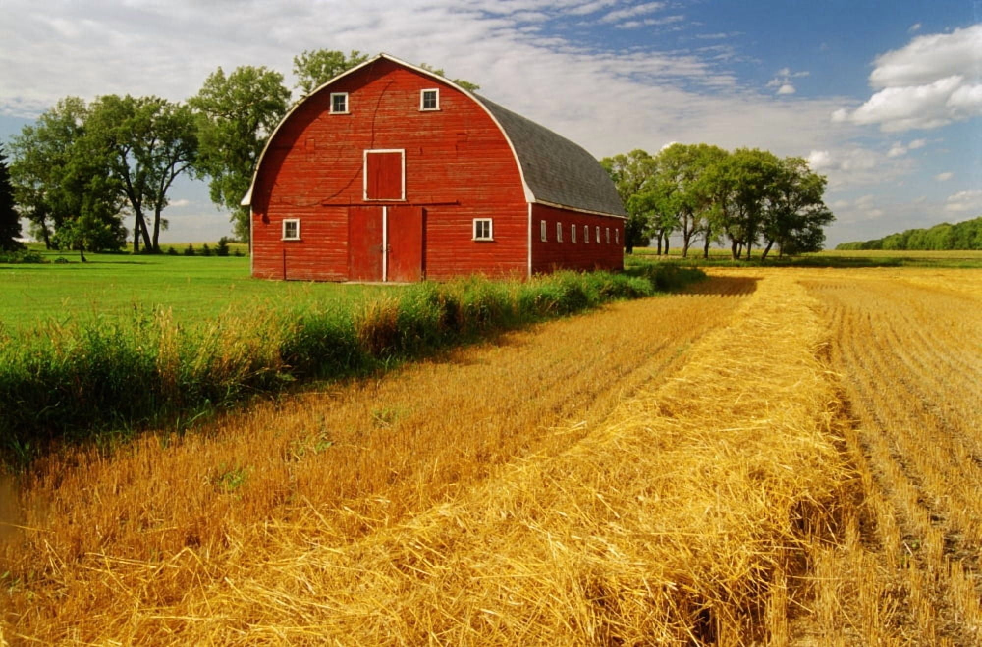 Barn Myrtle Manitoba Canvas Art - Dave Reede Design Pics (36 x 24)