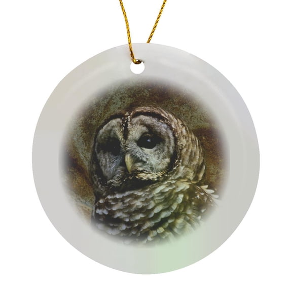3drose, Barn Owl Fine Art Image - Home Décor, Circle Porcelain Ornament