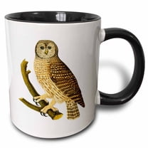 3drose, Barn Owl on Branch, 15oz Two-tone Black Mug