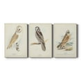 thumbnail image 1 of Barn Owl Premium Gallery Wrapped Canvas - Ready to Hang - 18 x 27 Each, 1 of 10