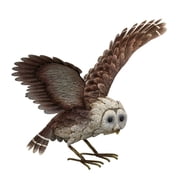 Barn Owl - Wings Up - 27"x16.5"x15"