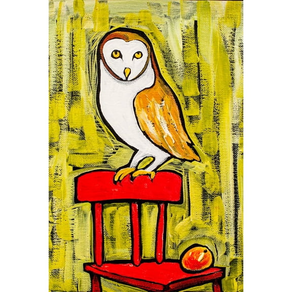 Barn Owl by Ben Mann Poster Print