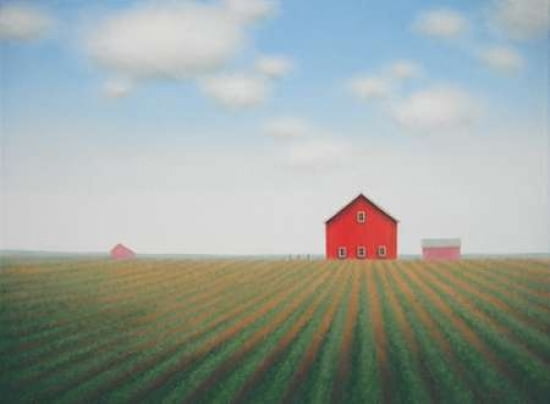 Barn Rows Canvas Art - Sharon France (18 x 24)