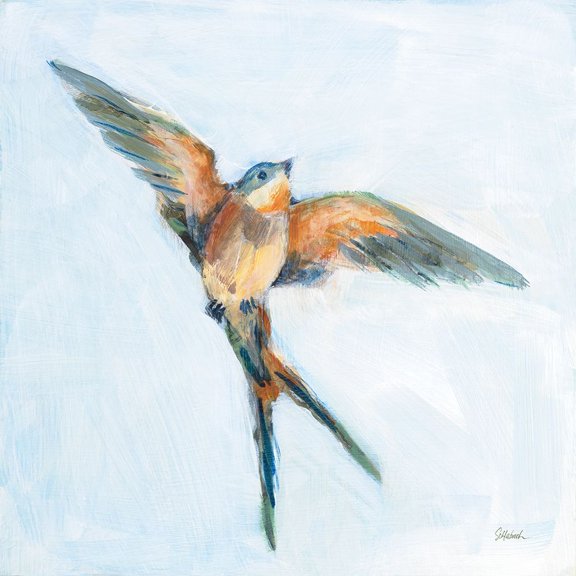 Barn Swallow Flight I Poster Print - Sue Schlabach (24 x 24)