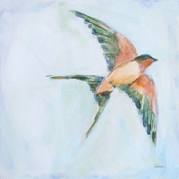 Barn Swallow Flight II Poster Print - Sue Schlabach (24 x 24)