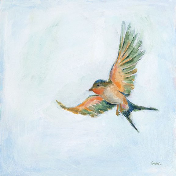Barn Swallow Flight III Poster Print - Sue Schlabach (24 x 24)