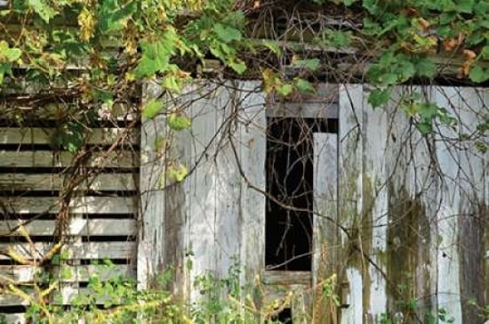 Barn Window 4 Canvas Art - Lynn Garwood (24 x 36)