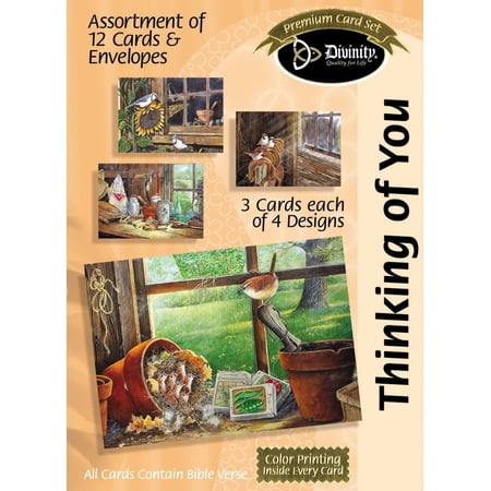 Boxed Greeting Cards - Thinking Of You Barn Windows - Set of 12