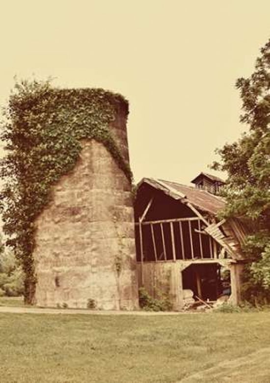 Barn and Silo Canvas Art - Gail Peck (20 x 28)