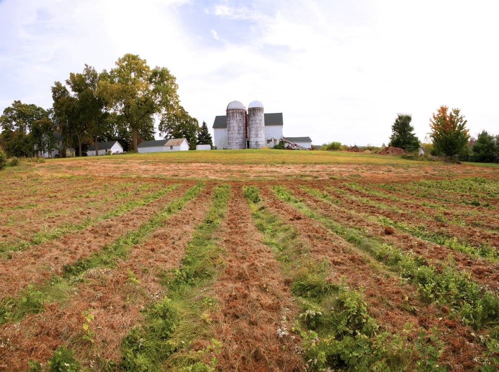 Barn and silo in a field Route 34 Colts Neck Township Monmouth County New Jersey USA Canvas Art - Panoramic Images (24 x 18)