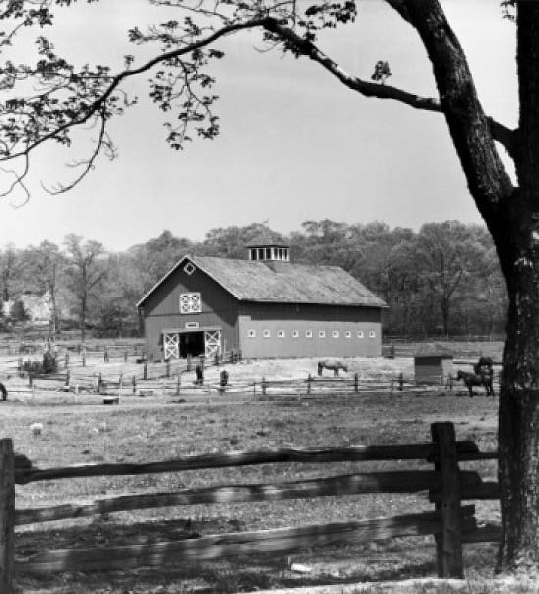 Barn in a field Brookville New York USA Canvas Art - (18 x 24)