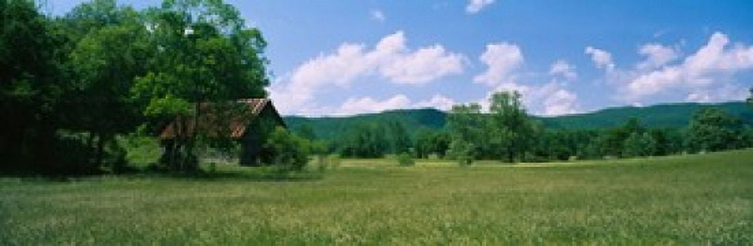 Barn in a field Cades Cove Great Smoky Mountains National Park Tennessee USA Canvas Art - Panoramic Images (18 x 6)