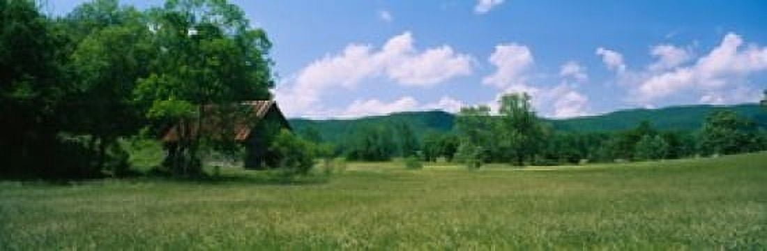 Barn in a field Cades Cove Great Smoky Mountains National Park Tennessee USA Canvas Art - Panoramic Images (36 x 12)