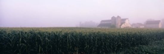 Barn in a field Illinois USA Canvas Art - Panoramic Images (36 x 12)