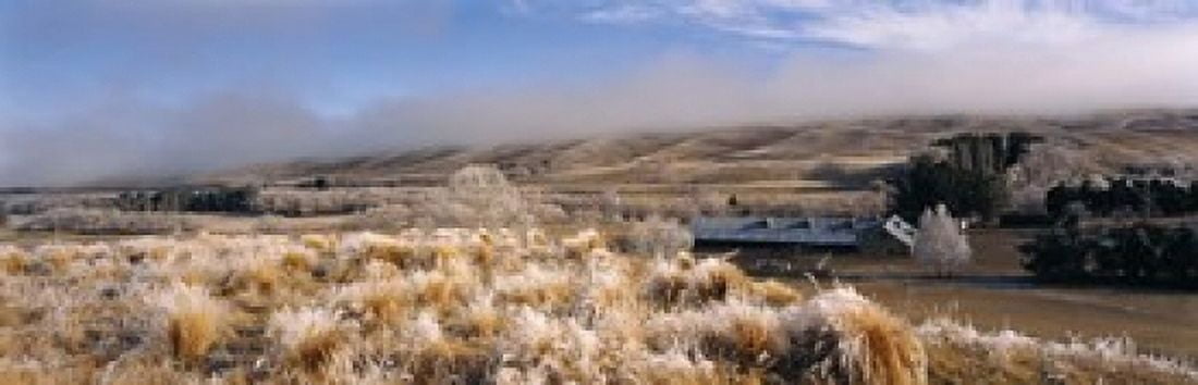 Barn in a field Morven Hills Station Otago New Zealand Canvas Art - Panoramic Images (18 x 6)
