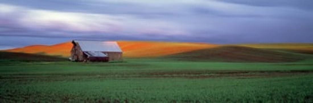 Barn in a field at sunset Palouse Whitman County Washington State USA Canvas Art - Panoramic Images (18 x 6)