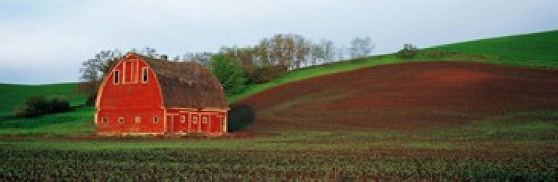 Barn in a field at sunset Palouse Whitman County Washington State USA Canvas Art - Panoramic Images (18 x 6)