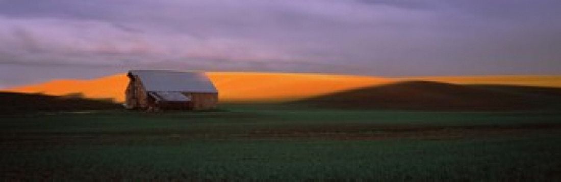 Barn in a field at sunset Palouse Whitman County Washington State USA Canvas Art - Panoramic Images (18 x 6)