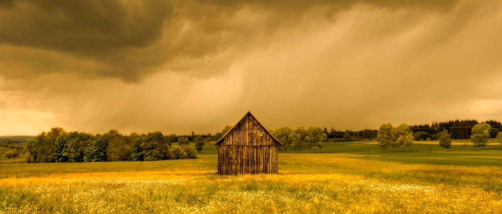 Barn in a field of wildflowers with storm clouds Baden-Wurttemberg Germany Canvas Art - Panoramic Images (36 x 12)