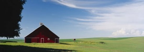 Barn in a wheat field Washington State USA Canvas Art - Panoramic Images (36 x 13)
