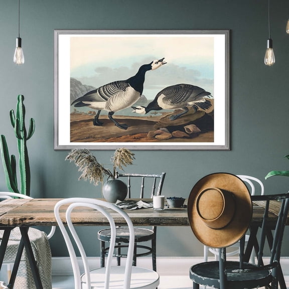 Barnacle Goose Vintage Art Print, Birds Of America Decor, Heron Illustration, Tropical Bird, Bird Watcher Gift Wall Art, Modern Wall Decor, 12x18 UNFRAMED