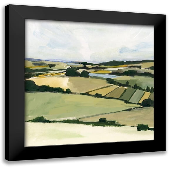 Barnes, Victoria 12x12 Black Modern Framed Museum Art Print Titled - Patchy Landscape II