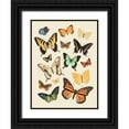 thumbnail image 1 of Barnes, Victoria 12x14 Black Ornate Wood Framed with Double Matting Museum Art Print Titled - Collected Flutter I, 1 of 4