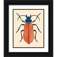 thumbnail image 1 of Barnes, Victoria 15x18 Black Ornate Wood Framed with Double Matting Museum Art Print Titled - Beetle Bug III, 1 of 4