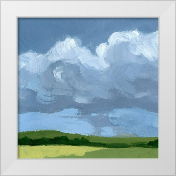 Barnes, Victoria 20x20 White Modern Wood Framed Museum Art Print Titled - Lush Terrain VI