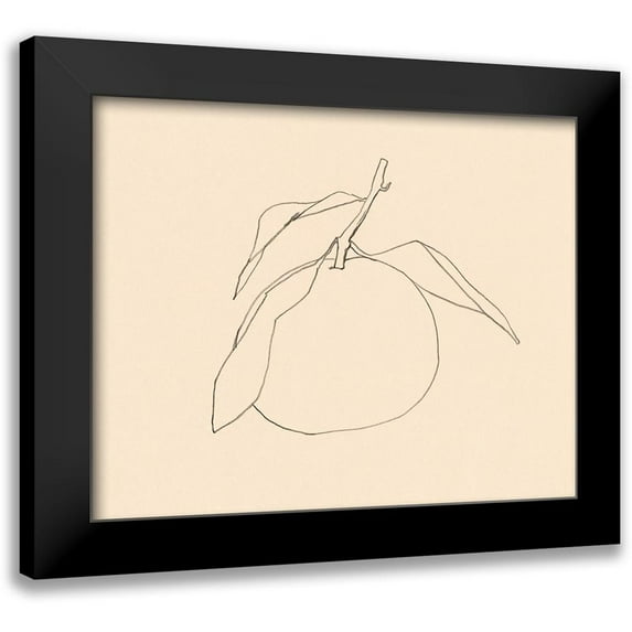 Barnes, Victoria 24x20 Black Modern Framed Museum Art Print Titled - Citrus Contour I