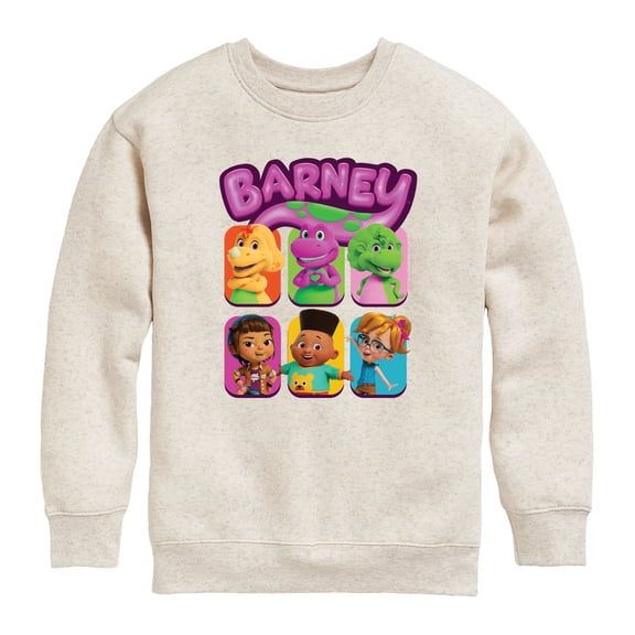 Barney - Cgi Grid - Youth Boys Crew Fleece Sweatshirt