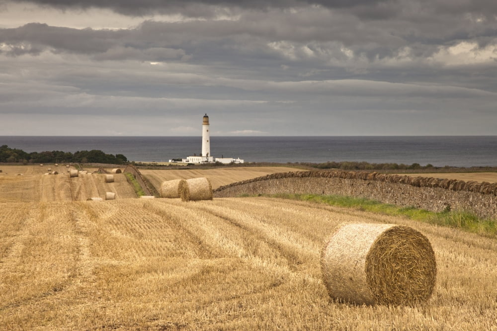 Barns Ness Lighthouse Along The Coast And Hay Bales In A Field In The Foreground Lothian Scotland Canvas Art - John Short Design Pics (19 x 12)