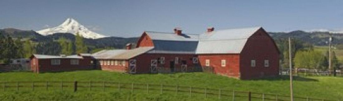 Barns in field with mountains in the background Mt Hood The Dalles Oregon USA Canvas Art - Panoramic Images (15 x 5)