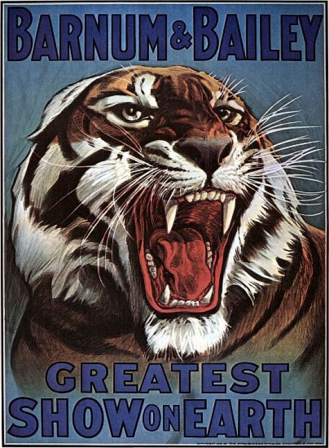 Barnum Bailey Ferocious Tiger Circuss Canvas Art - (36 x 54)