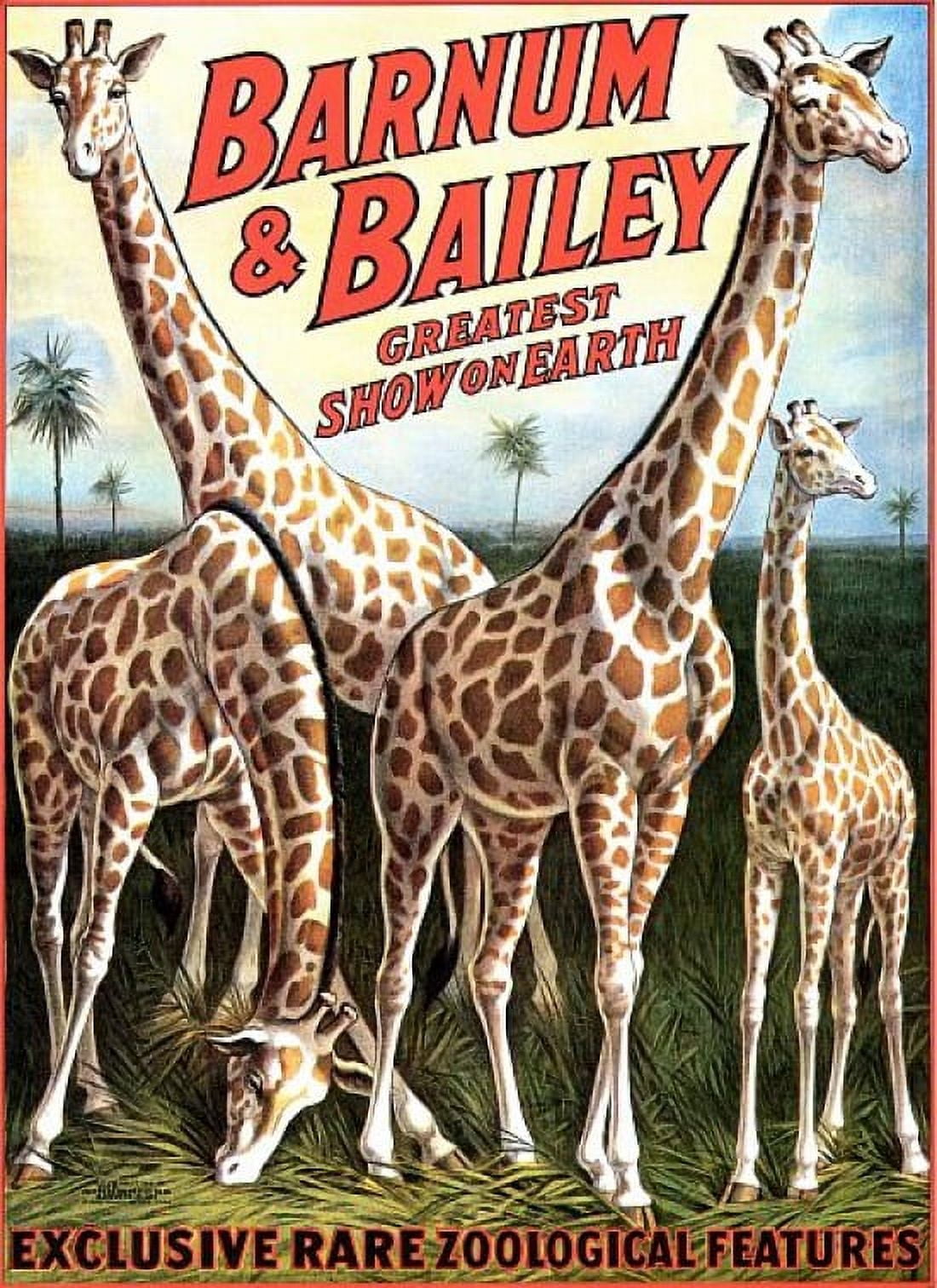 Barnum & Bailey Giraffe Circus Canvas Art - (18 x 24)