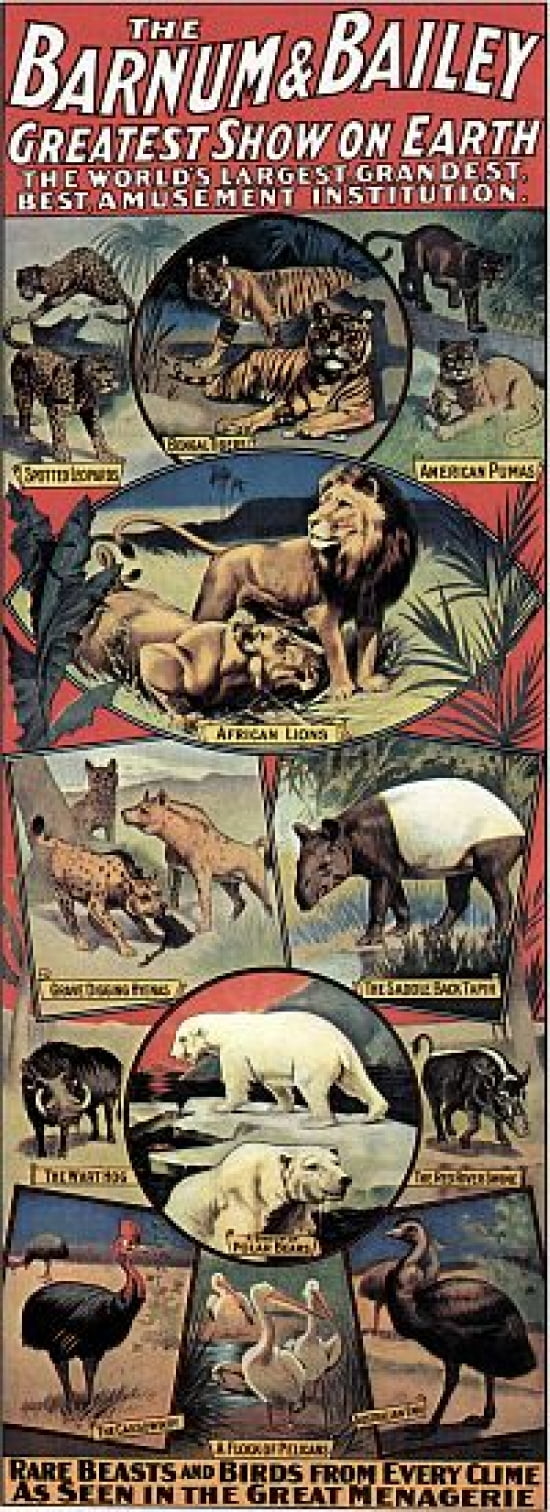 Barnum & Bailey Menagerie Circuss Lions Tigers Canvas Art - (24 x 36)
