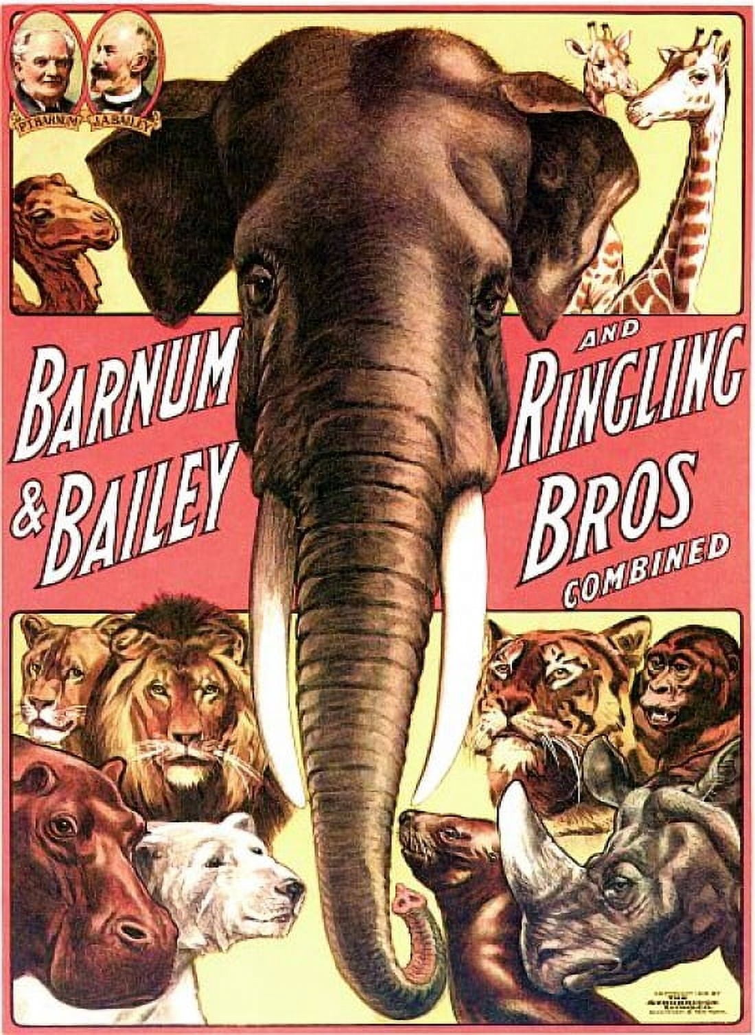 Barnum Bailey Ringling Elephant Animal Circus Canvas Art - (18 x 24)