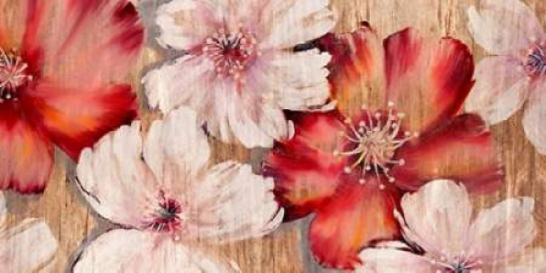 Barnwood Blossoms Canvas Art - Jurgen Gottschlag (10 x 20)